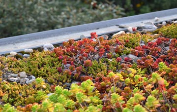 the cost of Cwmbach Llechrhyd green roof installation