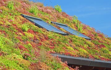 Cwmbach Llechrhyd living roof systems